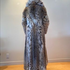 Extraordinarily beautiful full length cat lynx coat